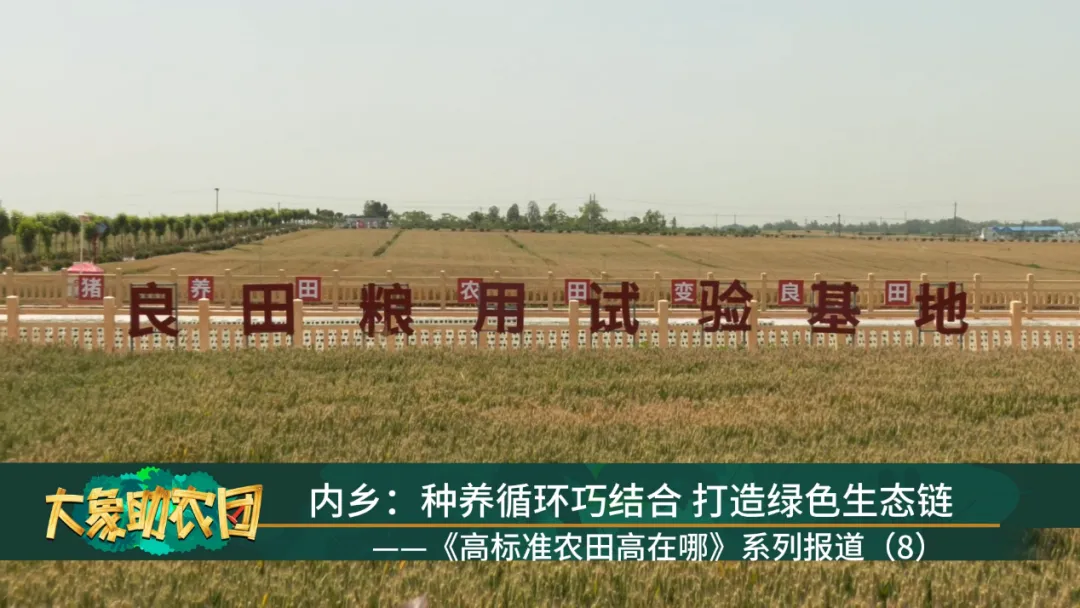 ߘ(bio)(zhn)r(nng)(ni)l(xing)ƪNB(yng)ѭh(hun)ɽY(ji)GɫB(ti)